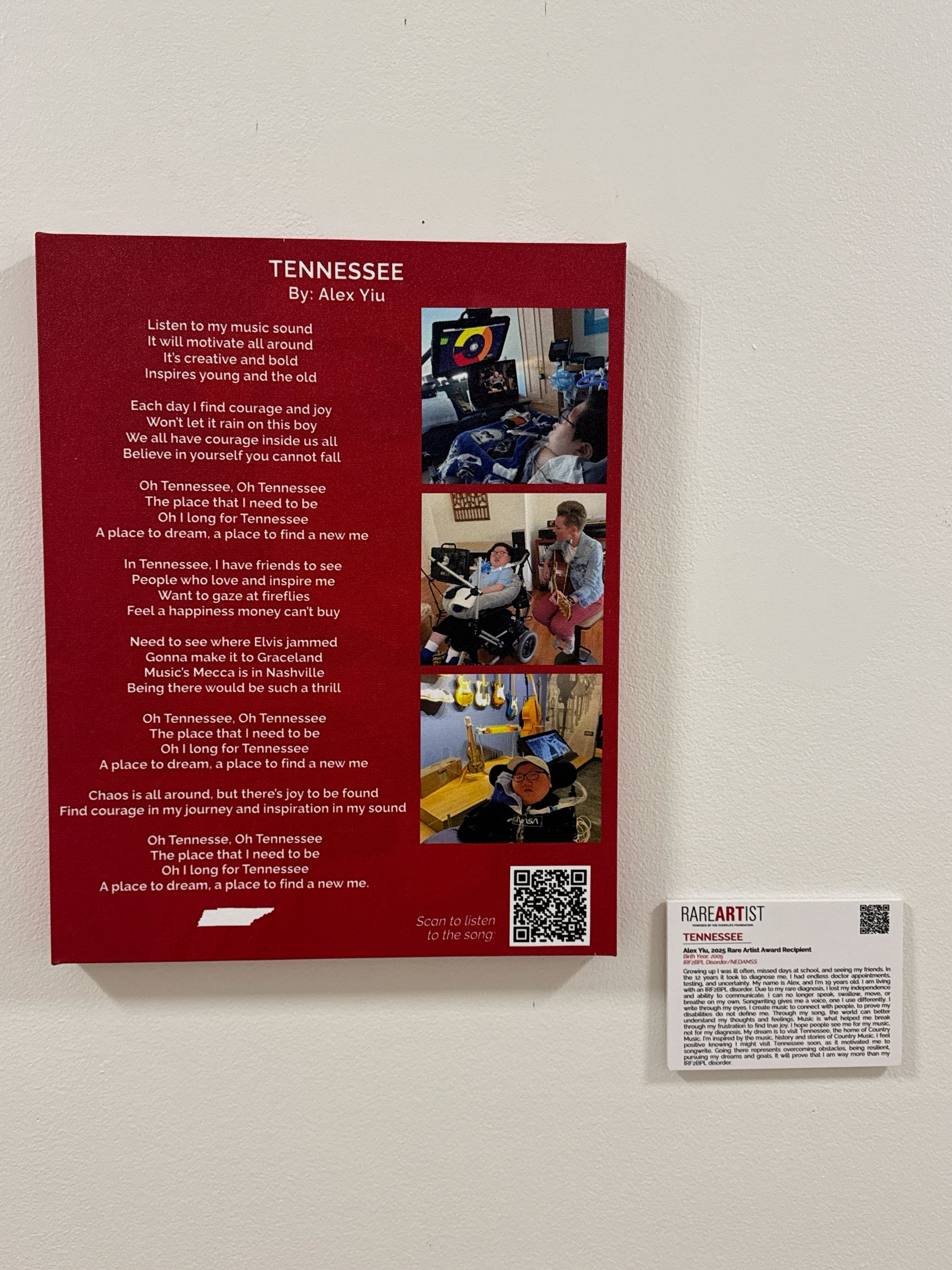 Rare Artist Exhibit Children’s National Medical Center, Washington, DC.jpeg