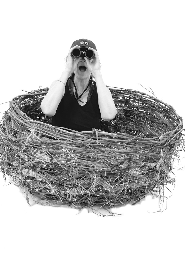 NEST.jpg