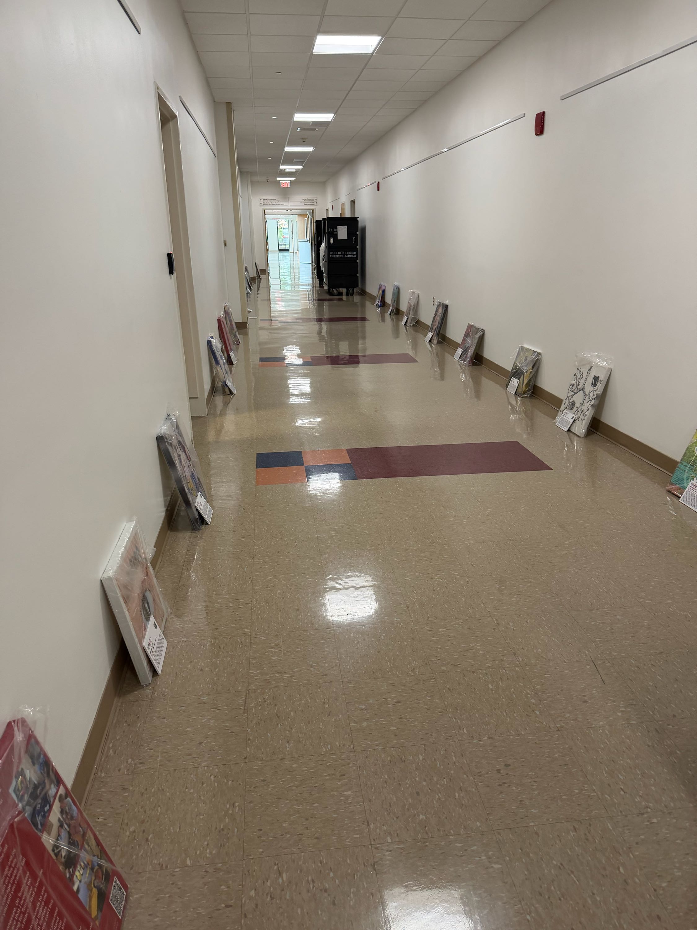 Rare Artist Exhibit, Children’s National Medical Center, Washington DC.jpeg